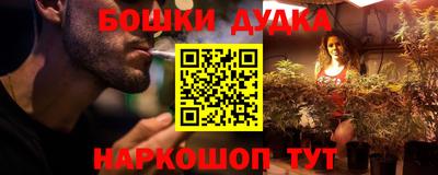 крисы Дубна