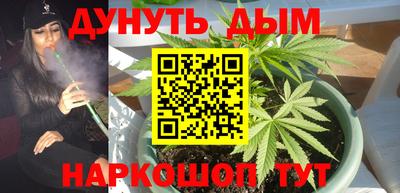 крисы Дубна